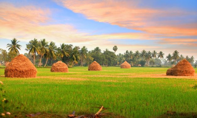 ChromaWay mit Coup: Indischer Bundesstaat setzt in der Landvermessung auf Blockchain