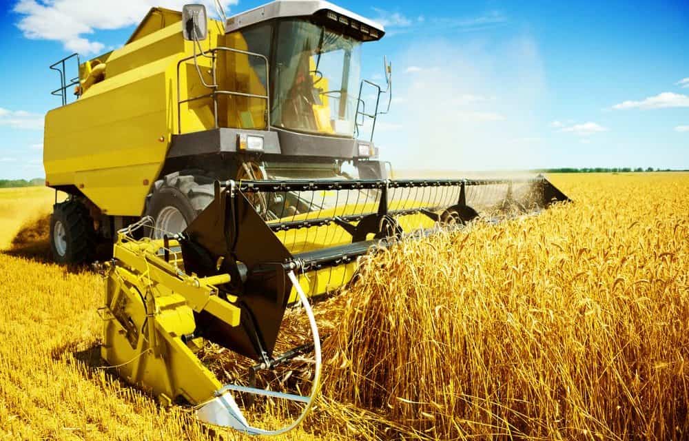 AgriDigital: Blockchain-Lösungen für Probleme in der Landwirtschaft