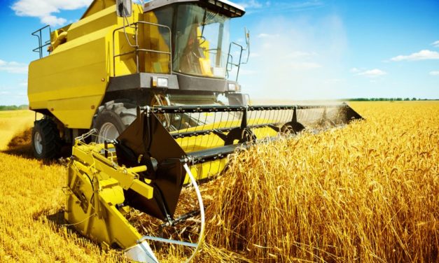 AgriDigital: Blockchain-Lösungen für Probleme in der Landwirtschaft