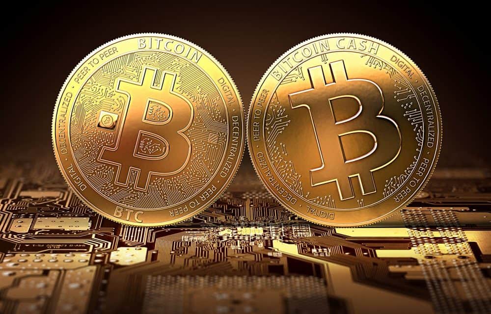 Südkorea: Krypto-Börsen veröffentlichen Strategie zu kommenden Hard Forks