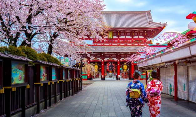 Japan ruft Blockchain Business Camp ins Leben