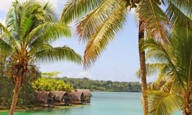 Vanuatu: Eine vollständige Staatsbürgerschaft für 44 Bitcoin