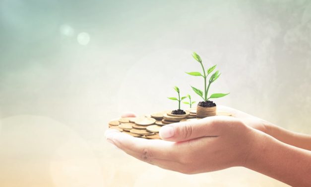 Overstocks Token-Exchange plant eigenen ICO