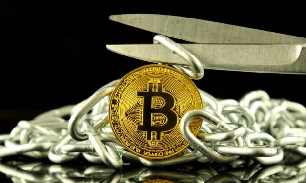 Bitcoin Cash Entwickler: Hard Fork im November