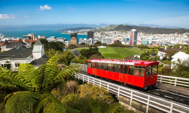 Kryptowährungen in Neuseeland als Wertpapiere eingestuft
