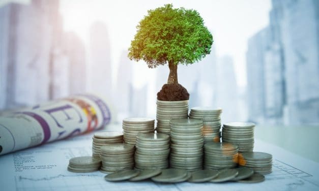 Die drei interessantesten ICOs im November