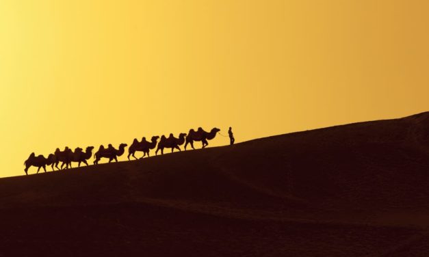 Silk Road: Ehemaliger Secret Service Agent erneut verurteilt