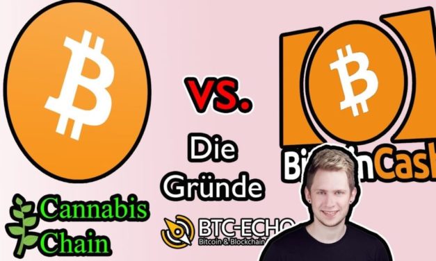 Video: BCH-Anstieg erklärt & ETC Comeback? Wochenrückblick KW 45