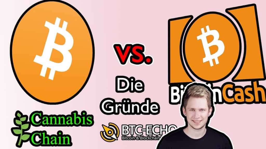 Video: BCH-Anstieg erklärt & ETC Comeback? Wochenrückblick KW 45