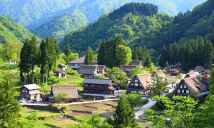Japanisches Dorf initiiert ICO für Wirtschaftsaufschwung