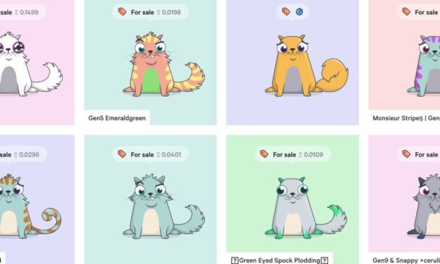 CryptoKitties: Was steckt hinter dem neuen Hype?