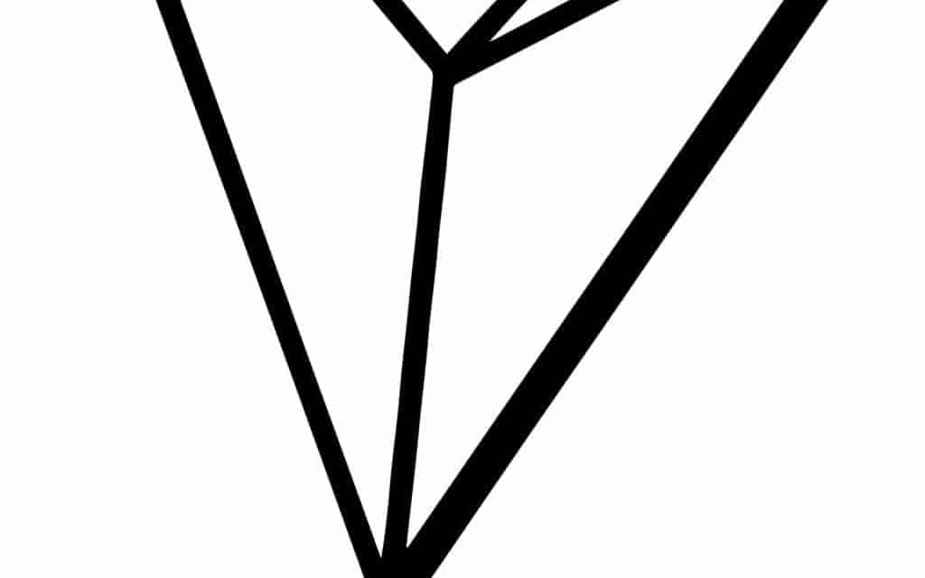 New Coins on the Block – TRON (TRX)
