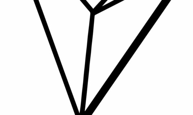 New Coins on the Block – TRON (TRX)