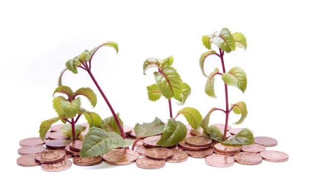Altcoin – Marktanalyse KW2 – Rise of the Pennystocks