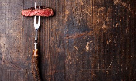 EtherZero (ETZ) – Ethereum Hard Fork mit Startschwierigkeiten