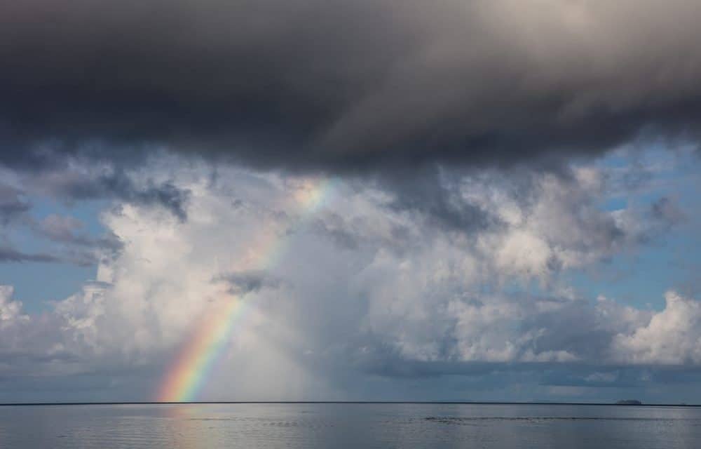 Altcoin – Marktanalyse KW04 – Nach dem Sturm