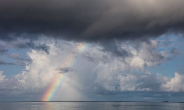 Altcoin – Marktanalyse KW04 – Nach dem Sturm