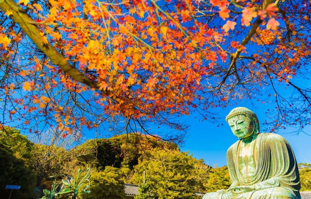 Japan: Verdacht auf Ripple- und NEM-Diebstahl – Coincheck friert Transaktionen ein