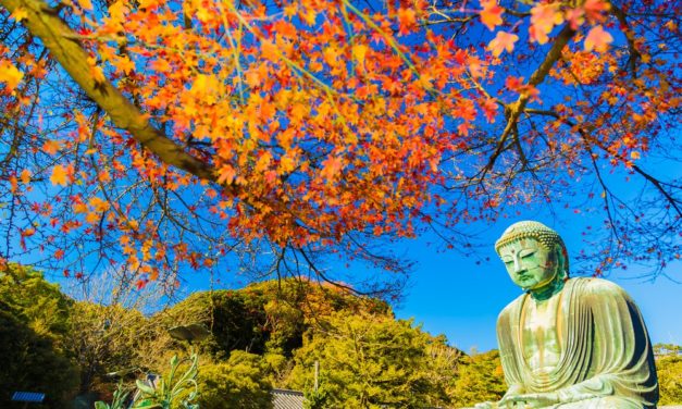 Japan: Verdacht auf Ripple- und NEM-Diebstahl – Coincheck friert Transaktionen ein