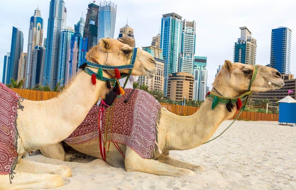 Vereinigte Arabische Emirate: Finanzaufsicht warnt vor ICOs