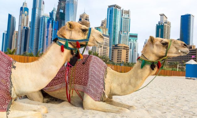 Vereinigte Arabische Emirate: Finanzaufsicht warnt vor ICOs