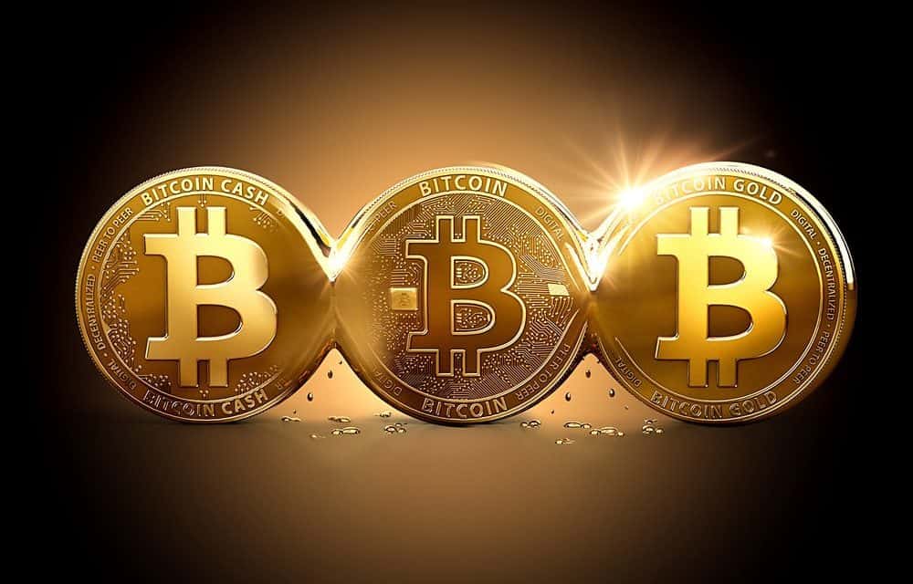 Fork Bitcoin, i‘ll go home – eine Einführung in die Bitcoin-Forks