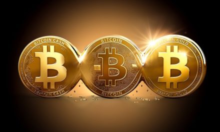 Fork Bitcoin, i‘ll go home – eine Einführung in die Bitcoin-Forks