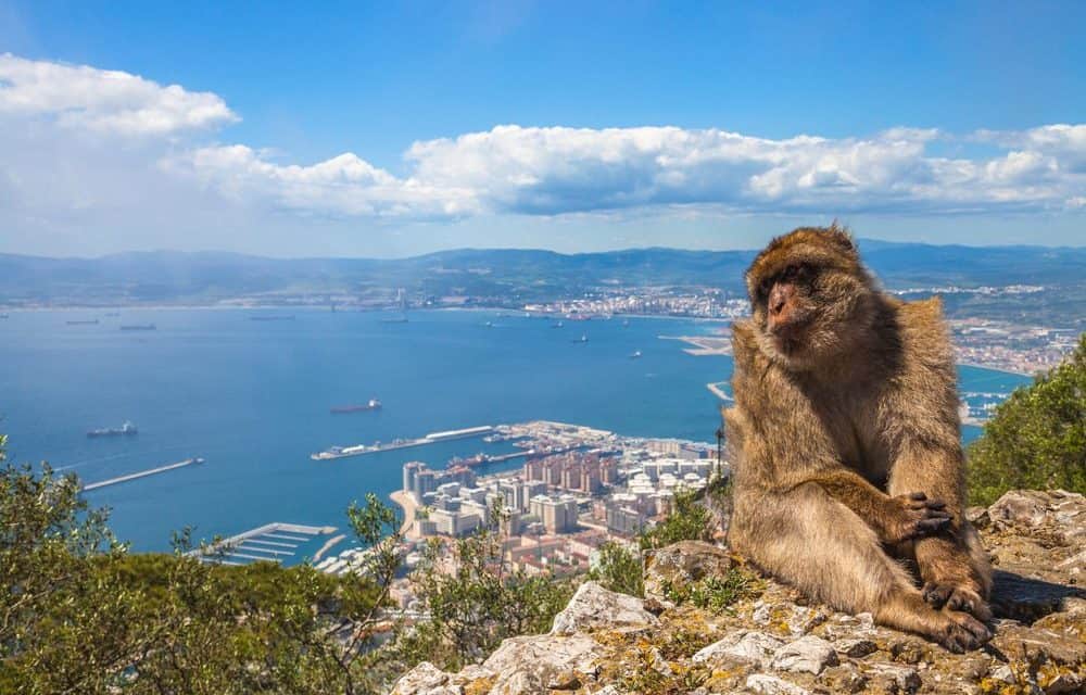Gibraltar: Klare Regulierung von ICOs?