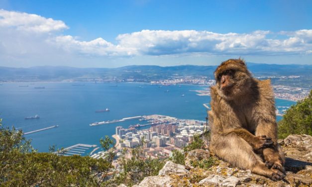 Gibraltar: Klare Regulierung von ICOs?