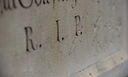 Brad Garlinghouse: Bitcoin eignet sich nur als Geldanlage