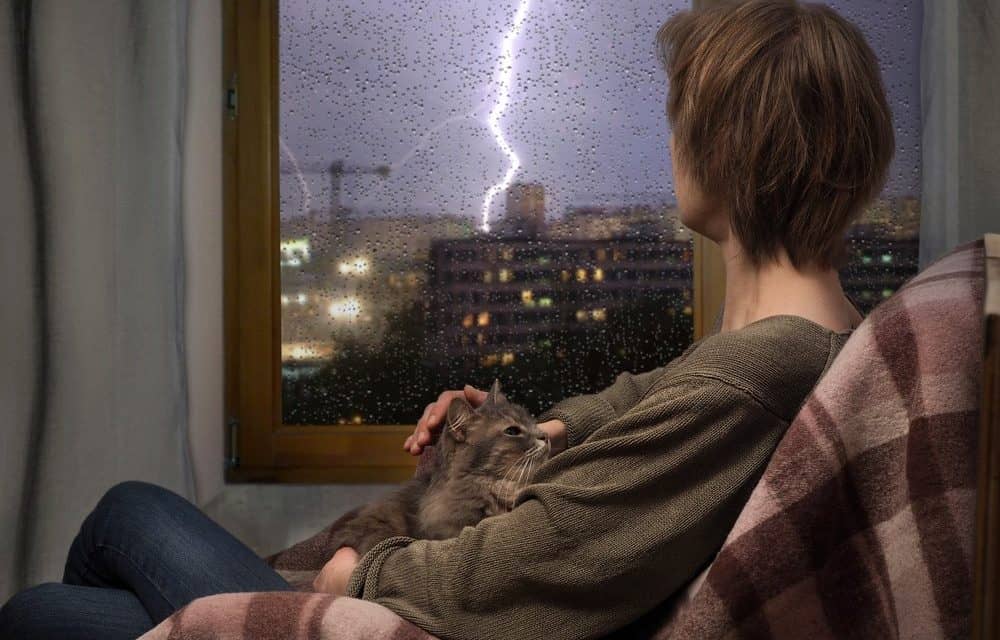 Blitzeinschlag bei Bitcoin – Lightning-Netzwerk und IoT