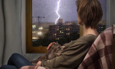 Blitzeinschlag bei Bitcoin – Lightning-Netzwerk und IoT