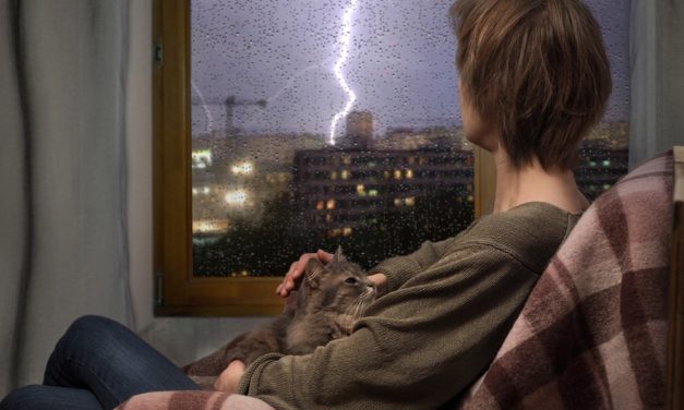 Blitzeinschlag bei Bitcoin – Lightning-Netzwerk und IoT
