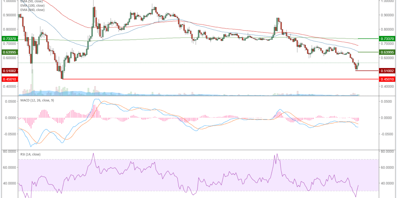 Ripple (XRP) – Kursanalyse KW11 – Erholung nach Bounce?