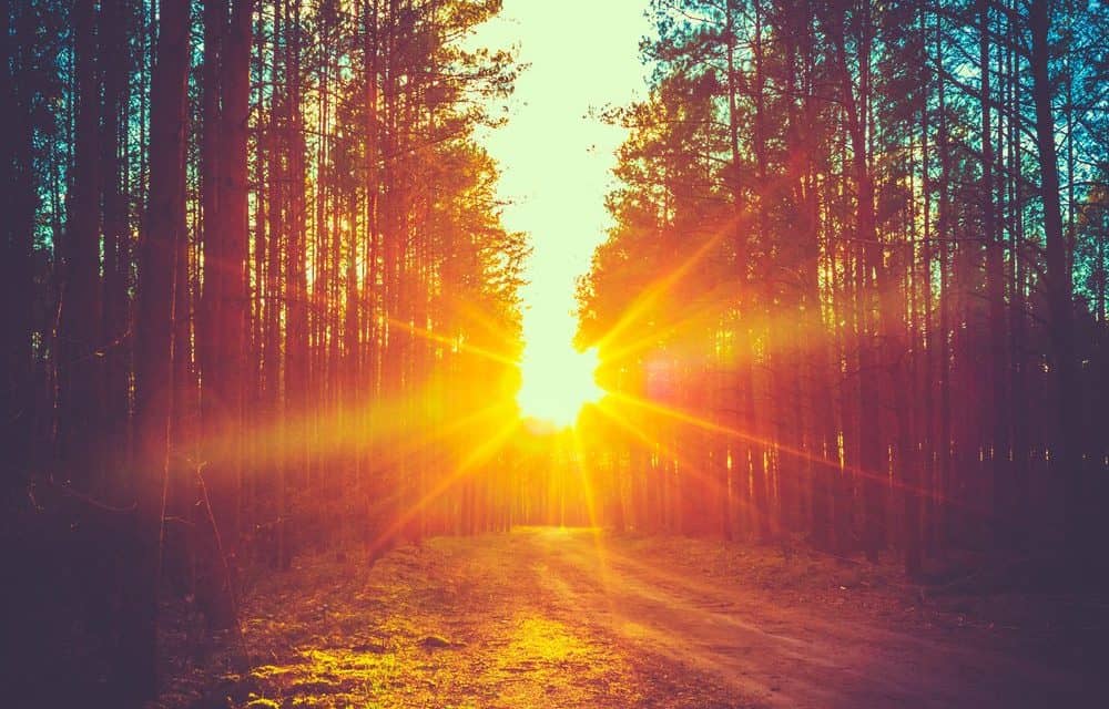 Regulierung in der Wochenrückschau KW#12 – Die Welt zeigt sich Krypto-Freundlicher