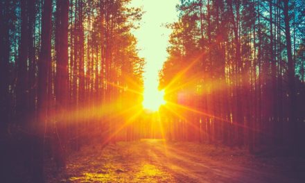 Regulierung in der Wochenrückschau KW#12 – Die Welt zeigt sich Krypto-Freundlicher