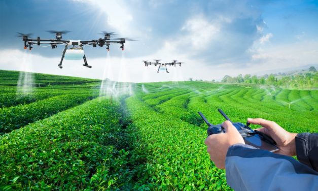 Ans Werk – Der Krypto-Frühling ist da!