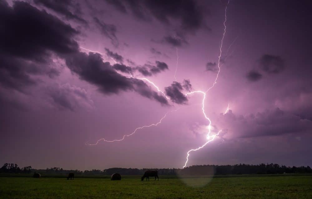 Eclair-Wallet: Lightning Network fürs Smartphone