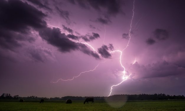 Eclair-Wallet: Lightning Network fürs Smartphone