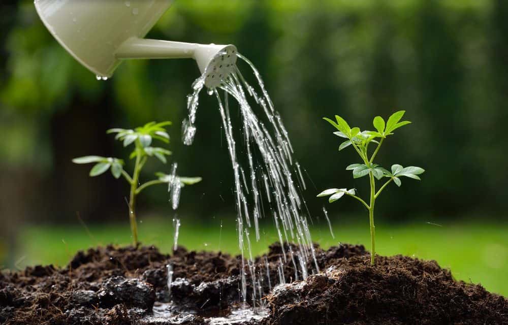 Russischer Verband RACIB plant Krypto-Park