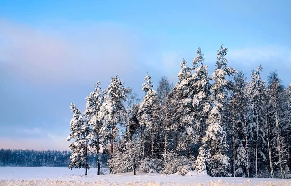 Goodbye FUD #6 – Ein Lob auf den Kryptowinter