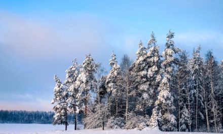 Goodbye FUD #6 – Ein Lob auf den Kryptowinter