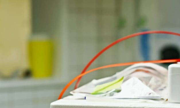 CryptoTec: Produkt-Tracking in Echtzeit auf der Blockchain