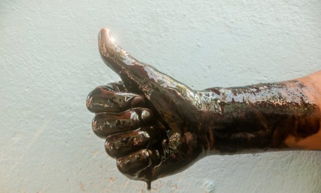 Nationalversammlung in Venezuela nickt Petro ab