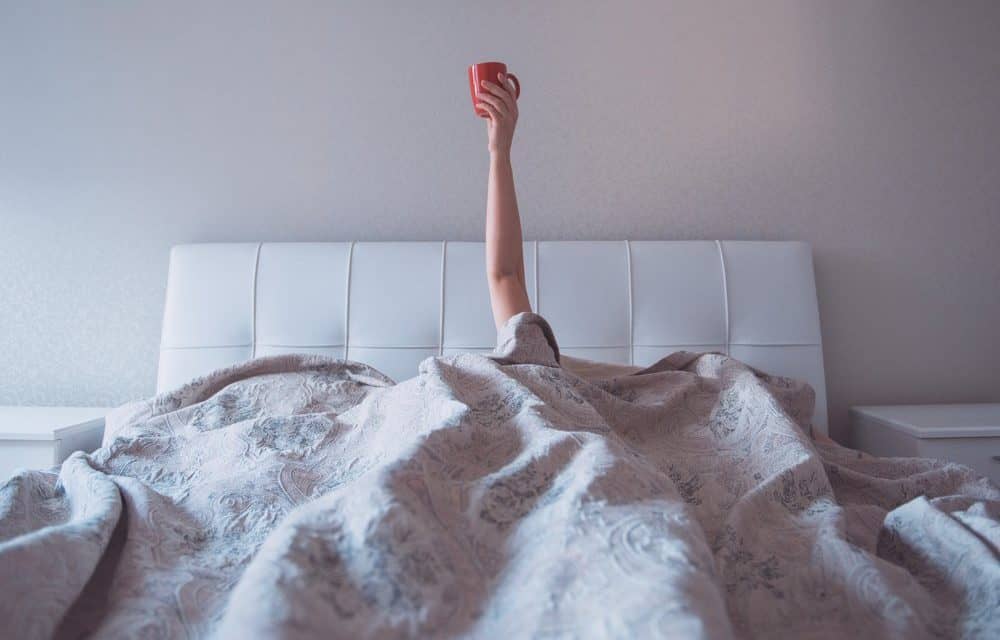 Bitcoin-Kurs wieder über 8.000 US-Dollar: Der Markt erwacht