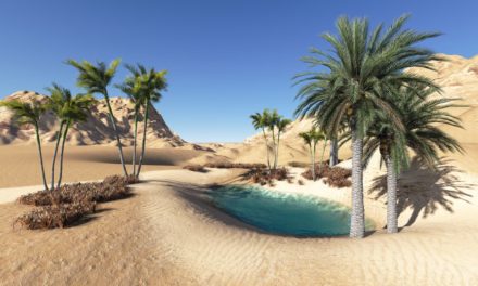 Krypto-Oase Malta zieht nun auch OKEx an