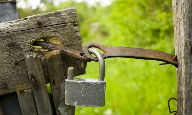 Sicherheitsbedenken bei Coinsecure: Bitcoin “verschwunden”