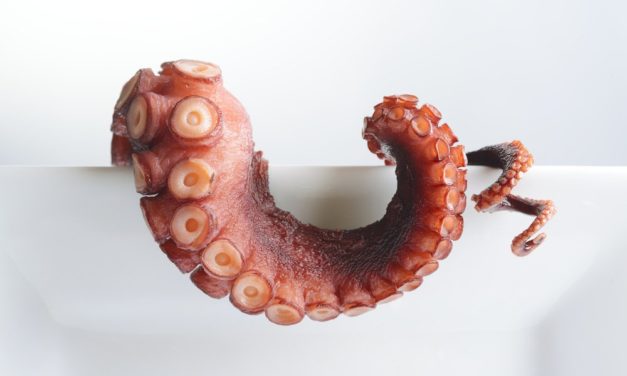 Neues Amazon-Patent – der Beginn einer Datenkrake für Bitcoin-Transaktionen?