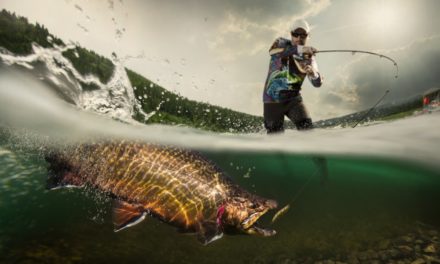 BREAKING: Phishing-Angriff auf MyEtherWallet