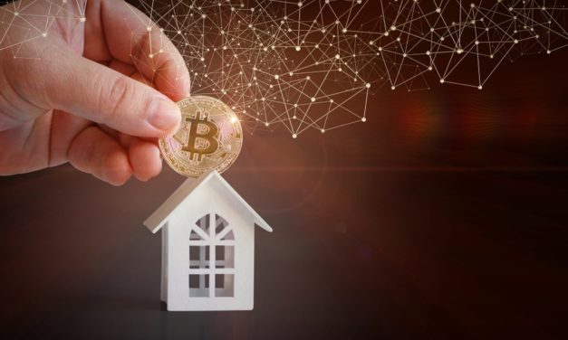 BITREAL: Was es über den neuen Krypto-Fonds zu wissen gibt